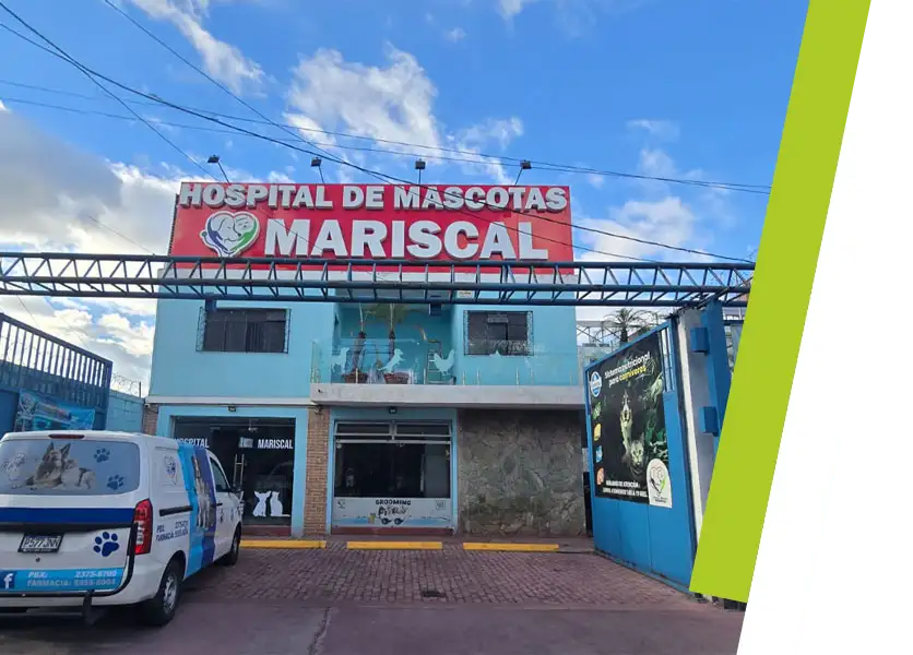 Hospital de Mascotas Mariscal