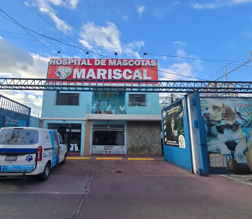 Hospital de Mascotas Mariscal Hospital de Mascotas Mariscal